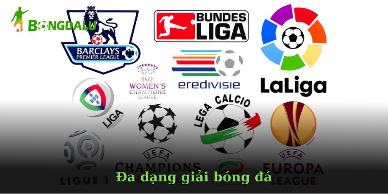 nhung-tinh-nang-noi-bat-chi-co-tai-bong-da-lu