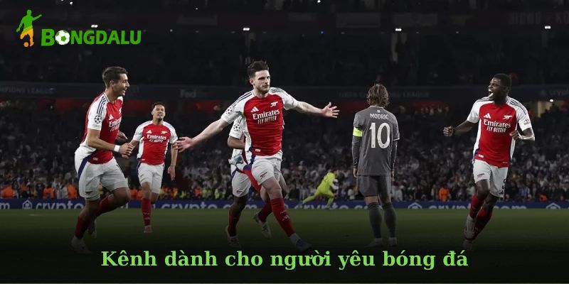cac-chuyen-muc-chinh-noi-bat-tren-bong-da-lu