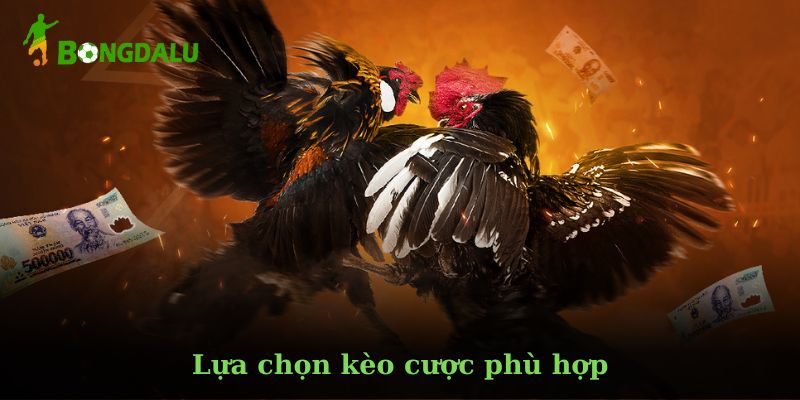 Những yếu tố quyết định thắng thua trong chọi gà
