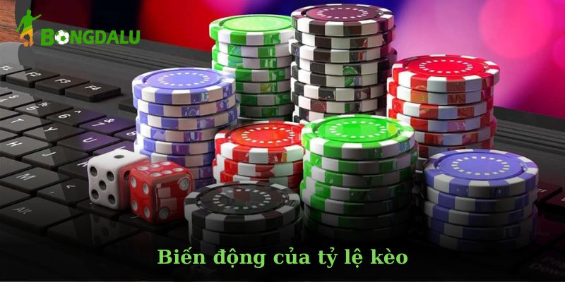 Lý do bạn nên truy cập Bóng Đá Lu mỗi ngày