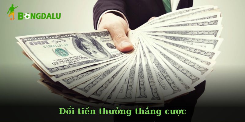Các hình thức giao dịch được hỗ trợ trên Bóng Đá Lu