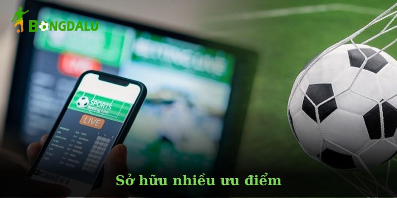 Các chuyên mục nổi bật trên Bóng đá lu