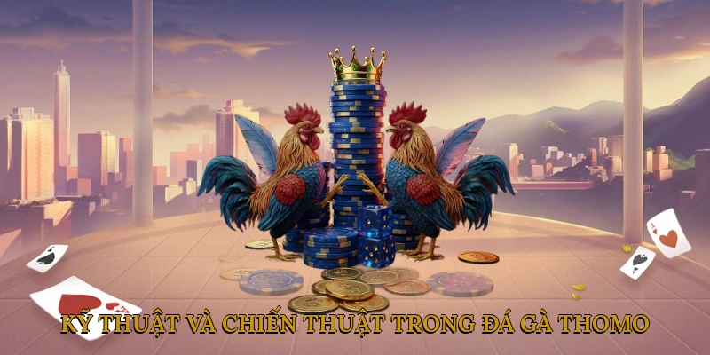 Kỹ thuật và chiến thuật trong đá gà thomo hôm nay