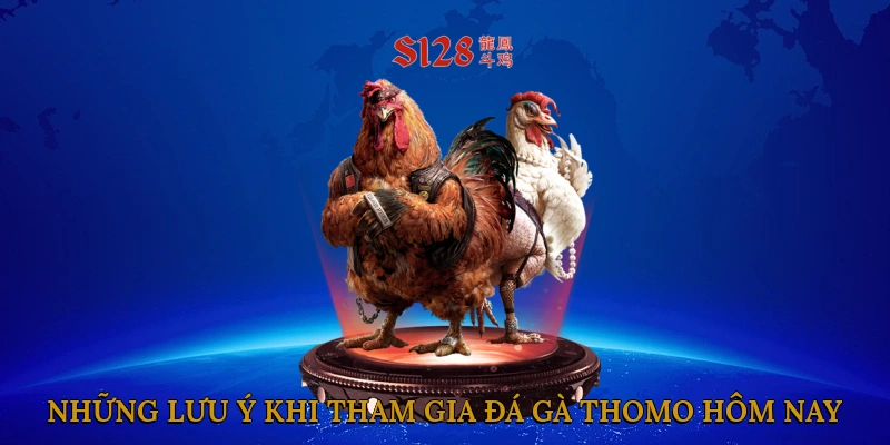 Những lưu ý khi tham gia đá gà thomo hôm nay