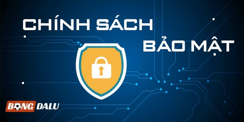 Bạn hoàn toàn có thể yên tâm trải nghiệm tại hệ thống Bongdalu