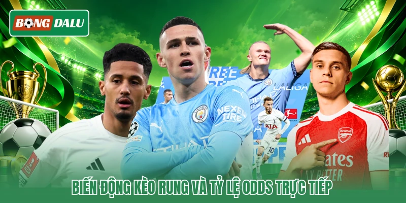 Biến động kèo rung và tỷ lệ odds trực tiếp