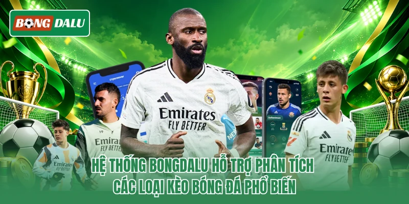 Hệ thống Bongdalu hỗ trợ phân tích các loại kèo bóng đá phổ biến