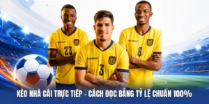 Kèo Nhà Cái Trực Tiếp – Cách đọc bảng tỷ lệ Bongdalu chuẩn 100%