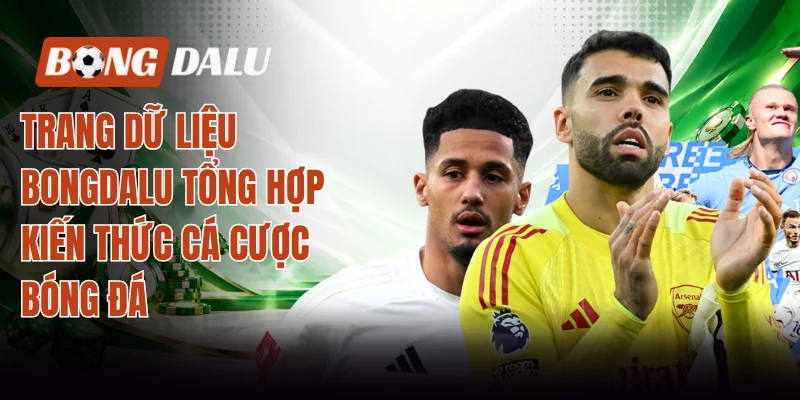 Trang dữ liệu Bongdalu tổng hợp kiến thức cá cược bóng đá