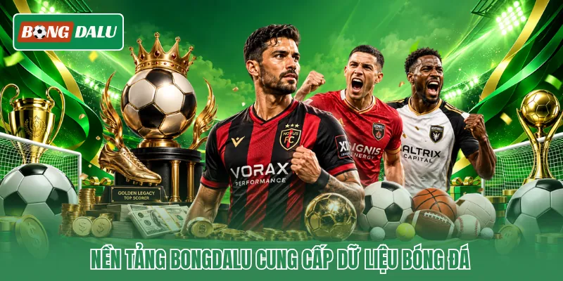 Nền tảng Bongdalu cung cấp dữ liệu bóng đá