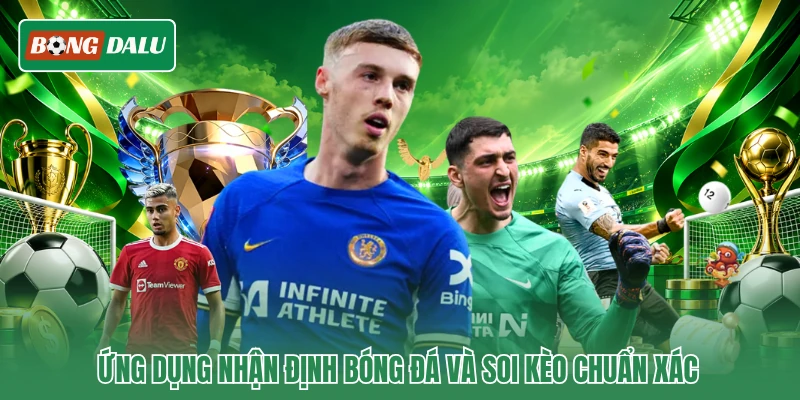 Ứng dụng nhận định bóng đá và soi kèo chuẩn xác